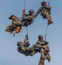 K9 Aerial Operations